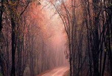 钱天一3-1巴特拉 晋级WTT仁川冠军赛女单16强.