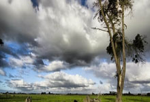 问鼎娱乐：姐姐好！18岁库巴西：我姐姐从不给我做理疗，总是说下次一定.