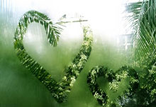 英足总杯第四轮 切尔西不敌布赖顿出局 纽卡斯尔逆转伯明翰过关.